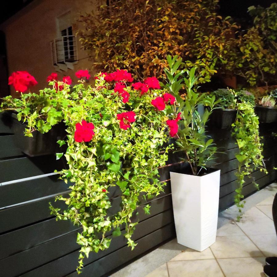 Sweet Home Apartment Maribor Ngoại thất bức ảnh